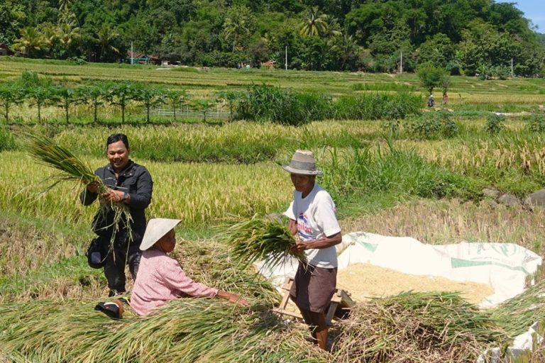 Bentang Alam dan Persawahan Puncak Kleco Sebagai Pilar Ketahanan Pangan  dan Atraksi Wisata dalam Mendukung SDGs